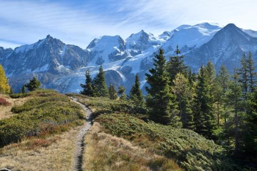 Face Mont-Blanc