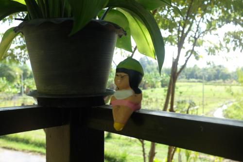 Rai Boonsom Rai Boonsom