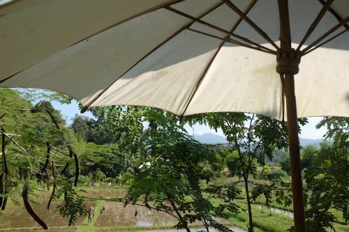 Rai Boonsom Rai Boonsom