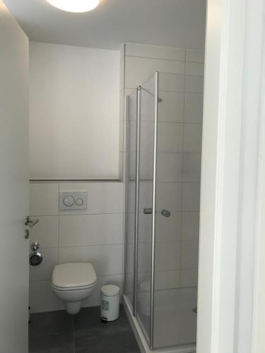 Attika Ferienwohnung in Freiburg -Gundelfingen mit großer Dachterrasse