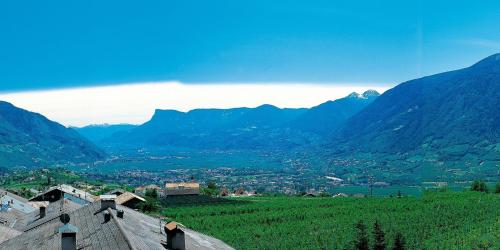 Alpentirolis - image 3