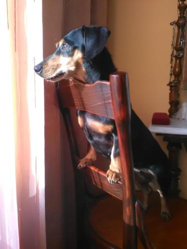 4 Évszak Apartman - Location saisonnière - Gyula