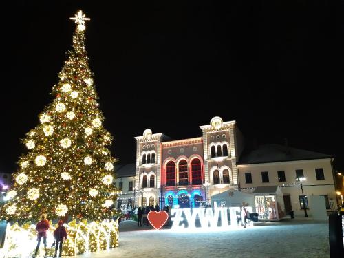 O.W. LAZUR nad jeziorem - image 8