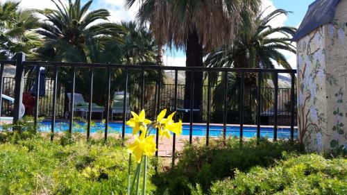 Plantation Bed & Breakfast