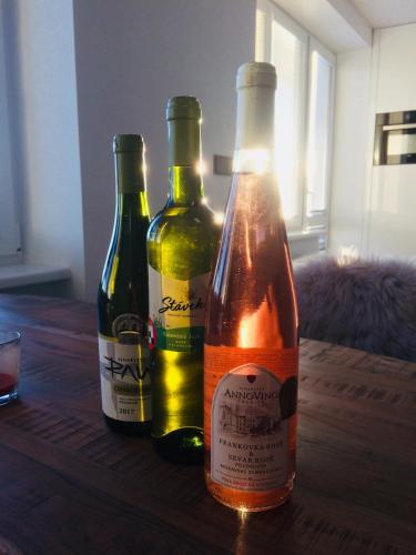 Luxury Flat in Brno in เซเวร์