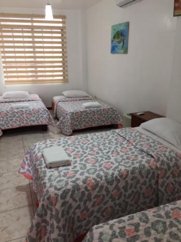 Galapagos Dreams Ideally located in the prime touristic area of Puerto Ayora, Galapagos Dreams Hotels promises a relaxing and wonderful visit. The property features a wide range of facilities to make your stay a pleas