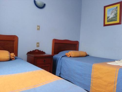 Hotel Casa Arnel - image 3