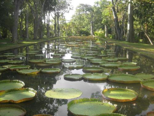 Sun Villa, Pereybere (Foto 9)