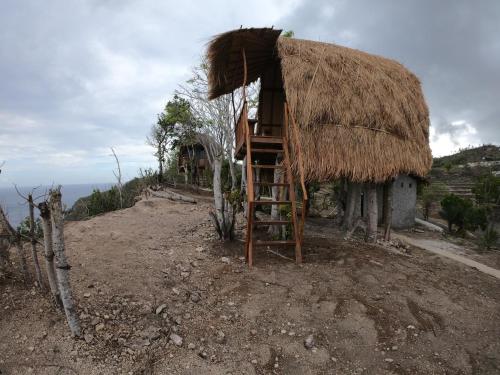 Eco Tourist Dream Stay Tree House