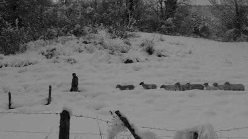 La Chouette à l'heure du Pinson