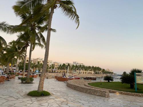 Purple Lily Studio Hawana Lagoons Salalah - image 3
