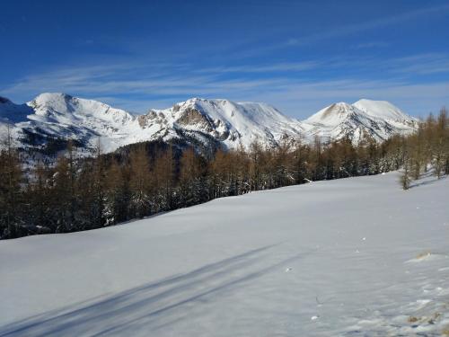 Alpenlandhof - image 4