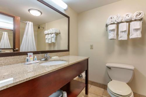 Comfort Inn Downtown Chattanooga