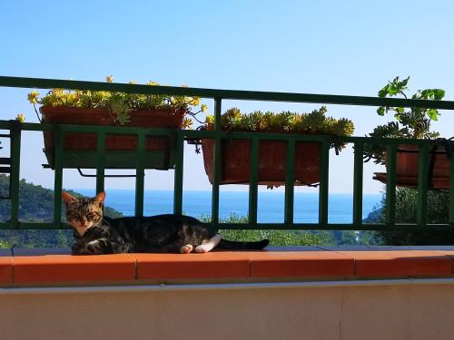 Country B&B Palinuro - image 4