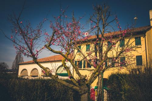  Le Vigne Morosina, Pension in Cessalto bei Ceggia