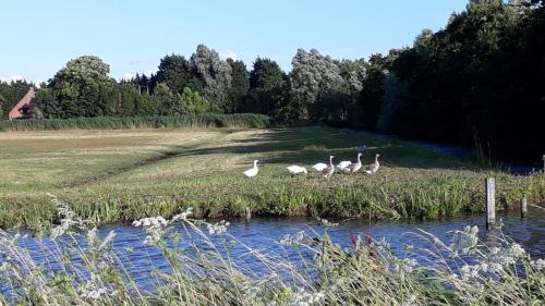 B&B Bij tante Teun