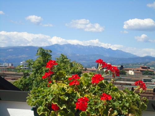 Spagna B&B, Verona (foto 9)