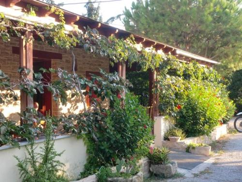 Hotel Neos Matala - image 8