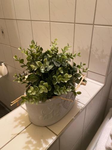 Pension Haufe in Ohorn, Deutschland