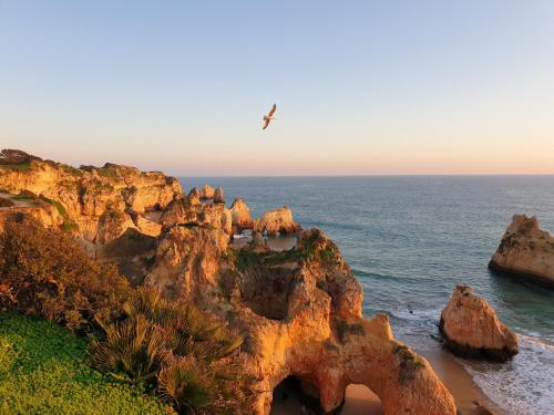  Algarve Alvor Tower in Alvor