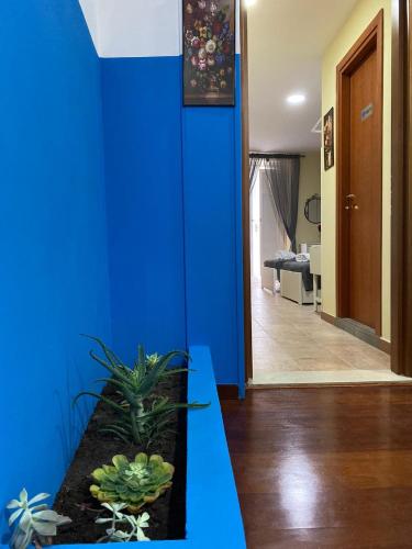 設施, La Torre B&B in 阿韋利諾