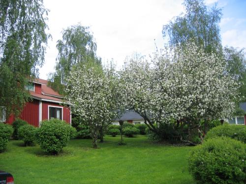 B&B Kankaanpää - Huoneisto omenapuiden katveessa - Bed and Breakfast Kankaanpää