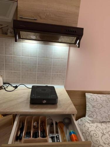 Apartmani Mićić - image 12