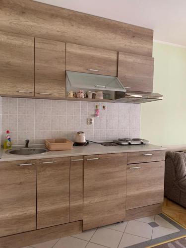 Apartmani Mićić - image 5