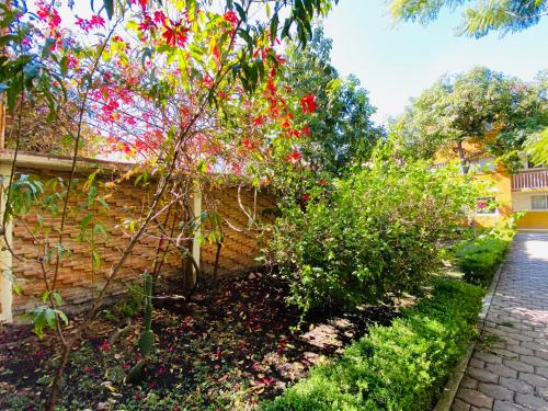 Suite Única Renovada Céntrica Av Zaragoza C14 in Casa Blanca La Corregidora, Mexico