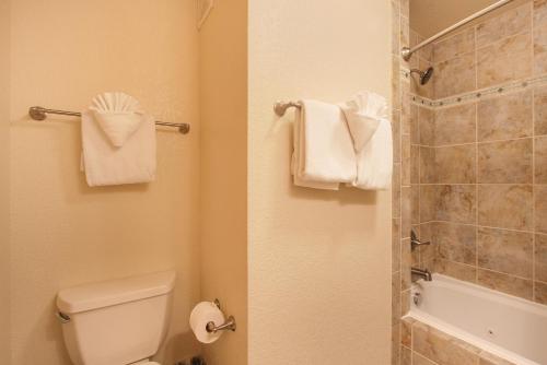 Deer Mountain 28B condo - image 7