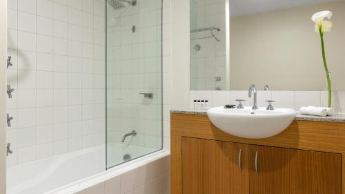 One-Bedroom Apartment image 4