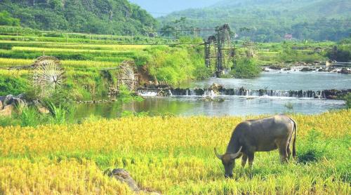 PU LUONG BOUTIQUE GARDEN