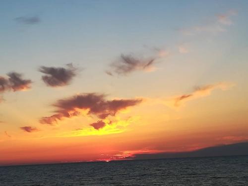 On Holiday Between Sky And Sea (geco Di Campiglia) - image 11