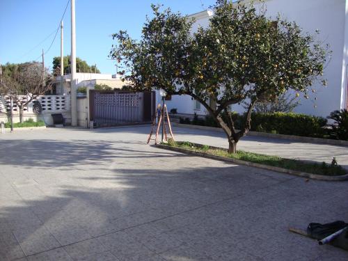 La Villa Bianca 1