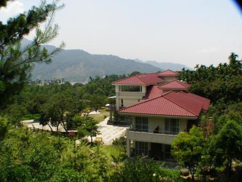 Zen and Pine Resort