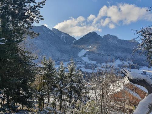 Chalet Tante Emma in Abondance