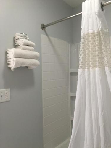 Bridgman Inn - image 8