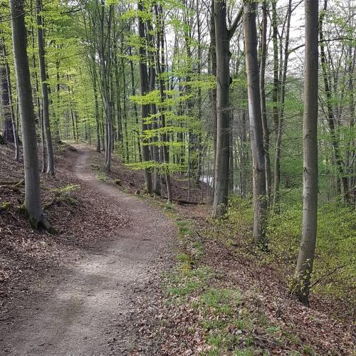 Sport en activiteiten, Ferienwohnung Müller (Ferienwohnung Muller) in Bestwig