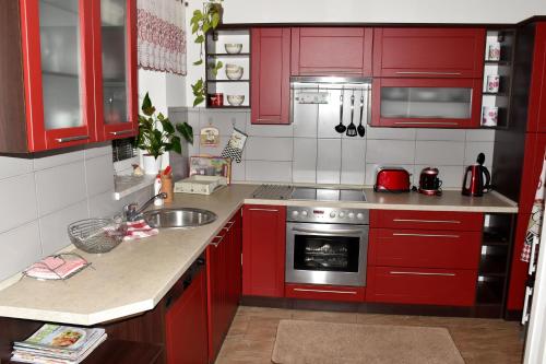 Konyha, Apartment Borovi in Srbsko