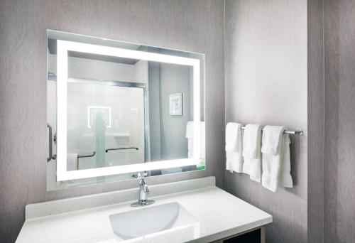 Holiday Inn Lubbock South an IHG Hotel - image 4