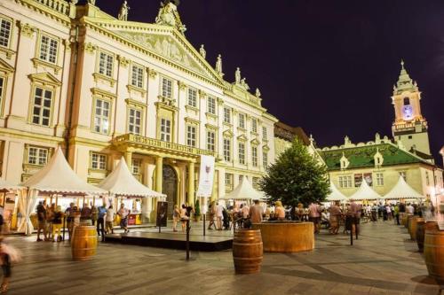 VIP Apartment in Old Town with free parking, Bratislava (fotografie 8)