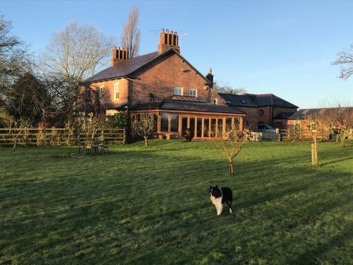 Hollies Farm B&B - image 6