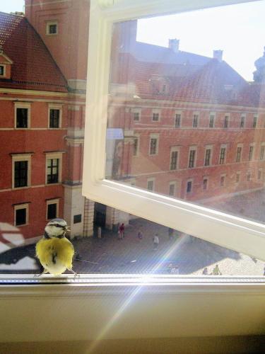 Royal Warsaw Apartment, Warsaw (photo 10)
