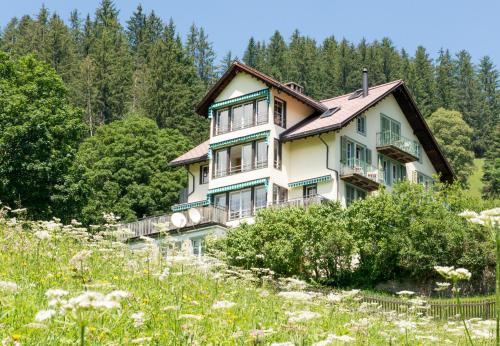 Chalet Hunnenfluh in Gundlischwand