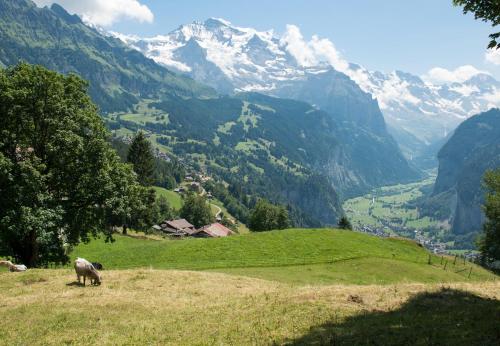 View, Chalet Hunnenfluh in Gundlischwand