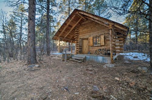 Secluded Cabin with Fire Pit By San Juan Forest! in Dolores (CO)