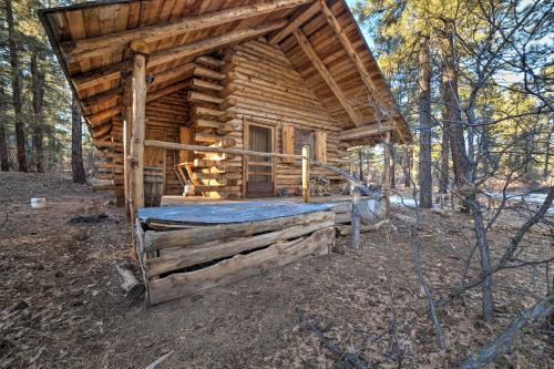 Secluded Cabin with Fire Pit By San Juan Forest! in Dolores (CO)