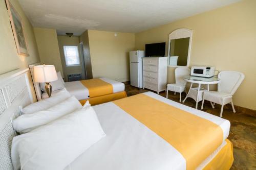 American Safari Motel - image 2