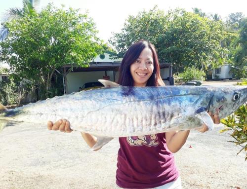 Flying Fish Point Tourist Park