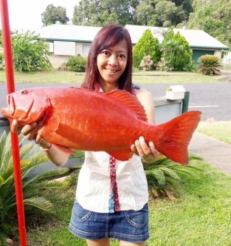 Flying Fish Point Tourist Park